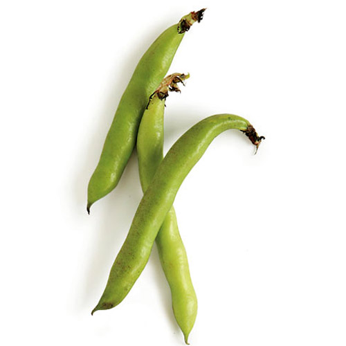 Fava beans